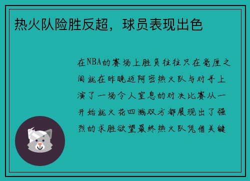 热火队险胜反超，球员表现出色